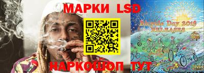шишки Обь