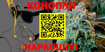шишки Обь