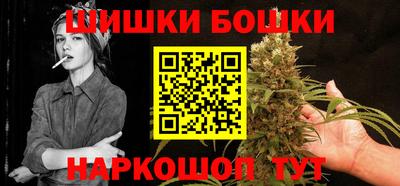 шишки Обь