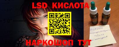 шишки Обь
