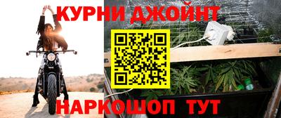 прущие грибы Нягань