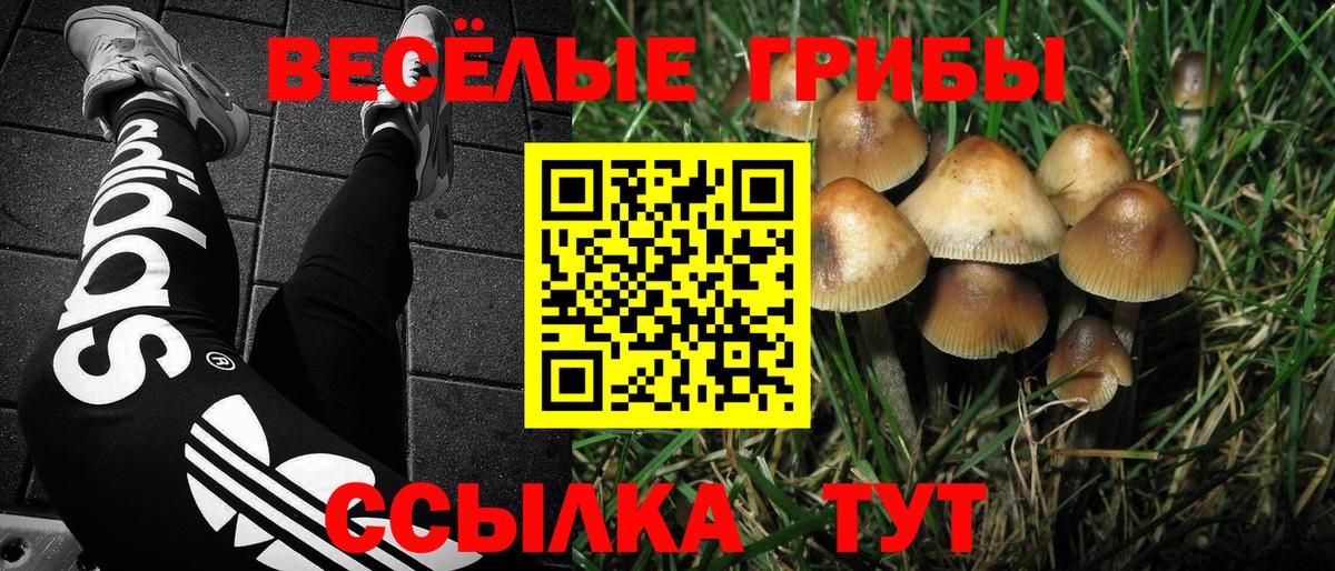 Галлюциногенные грибы Magic Shrooms  Вход с VPN  Славянск-на-Кубани 