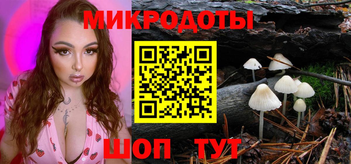Псилоцибиновые грибы мицелий Славянск-на-Кубани